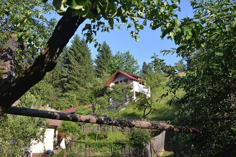Cabana Vanatorilor Poiana Mărului Exterior foto