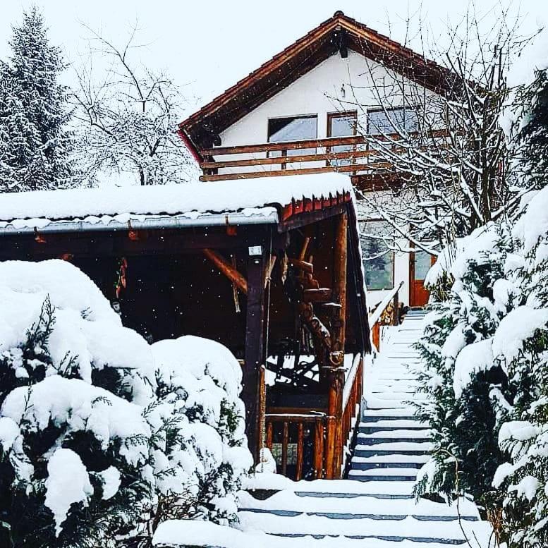 Cabana Vanatorilor Poiana Mărului Exterior foto