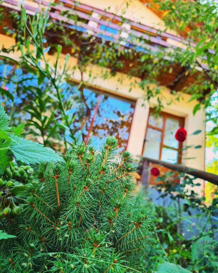 Cabana Vanatorilor Poiana Mărului Exterior foto
