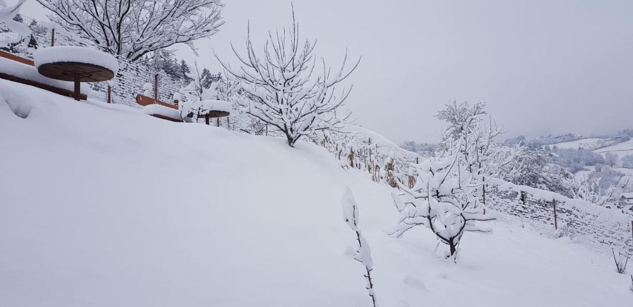 Cabana Vanatorilor Poiana Mărului Exterior foto