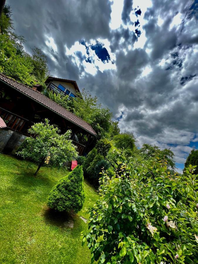 Cabana Vanatorilor Poiana Mărului Exterior foto
