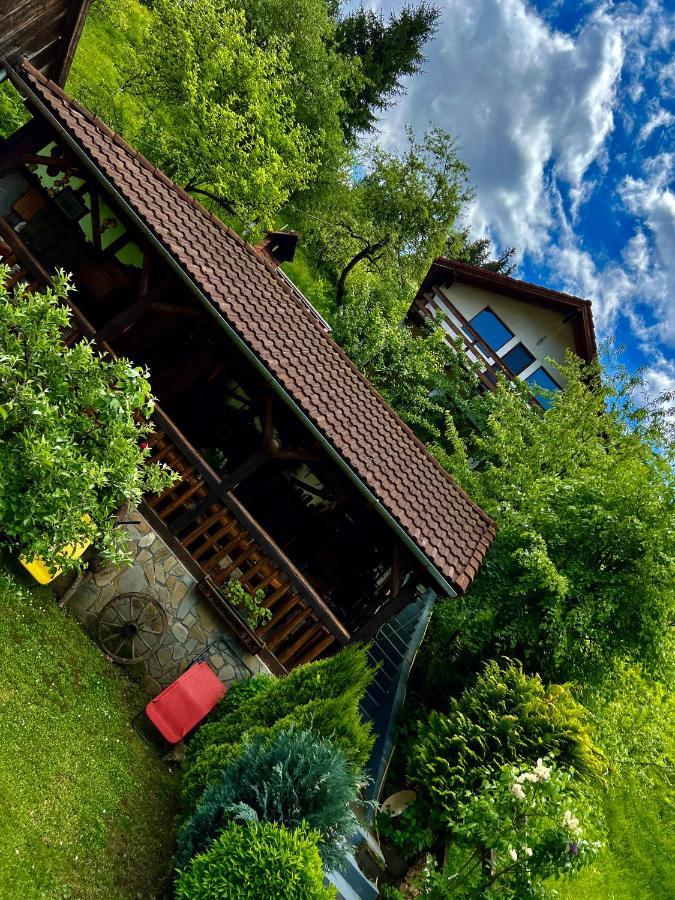 Cabana Vanatorilor Poiana Mărului Exterior foto